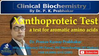 Xanthoproteic Test  Colour Reaction of Proteins [upl. by Ellerihs]