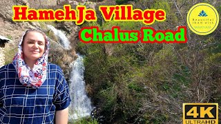 HamehJa VillageChalus Road  4k [upl. by Odlanyar402]