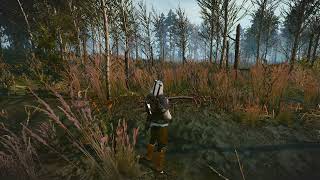 Witcher 3 Deathmarch guide 53 Another chance to get the water hag mutagen [upl. by Atteynot23]