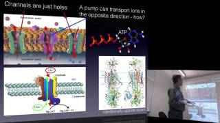 Biophysical Chemistry 2016 lecture 1 [upl. by Dawes423]