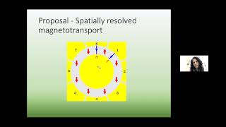 Tami PeregBarnea McGill Domainskyrmionbound surface states of magnetic topological insulators [upl. by Eohce]