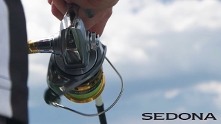 SHIMANO SEDONA FI [upl. by Adnirem]