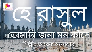 হে রাসুল তোমারি জন্য মন কাঁদে  শিল্পী তারেক মনোয়ার  Al Quraner Alo  Islamic New Gojol [upl. by Africah]