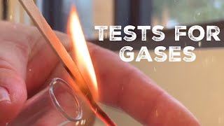 GCSE Science Chemistry 91  Tests for Gases [upl. by Agueda]