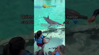 Mágica experiencia con un delfín solrivieracancun Dolphinaris toursencancunsrc delfines cancun [upl. by Bueschel]