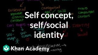 Self concept self identity and social identity  Individuals and Society  MCAT  Khan Academy [upl. by Johanna280]