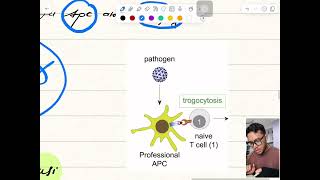 Patogenesis demam tifoid by Harrison internal medicine [upl. by Ayvid223]