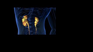 PATOLOGIE E TUMORI RARI UROGENITALI APPROCCIO MULTIDISCIPLINARE E MULTIMODALE PER TERAPIE INTEGRATE [upl. by Sasnett]