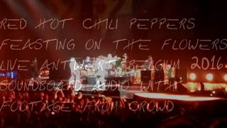 Red Hot Chili Peppers  Feasting on the Flowers live Antwerp 2016 Soundboard audio [upl. by Enelrac]