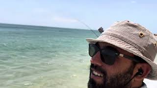 Live leerfish strike from the shore in Morocco [upl. by Mathew]