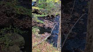 Stream near rental house in lanesborough Massachusetts [upl. by Karlin]