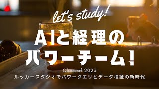 AIと経理のパワーチーム！ルッカースタジオでパワークエリとデータ検証の新時代 [upl. by Aikas583]