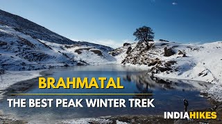 Brahmatal Trek in December to Feb  Indiahikes Winter Treks [upl. by Isaak]