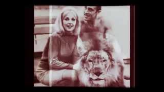 Rare photos of Sharon Tate [upl. by Camel]