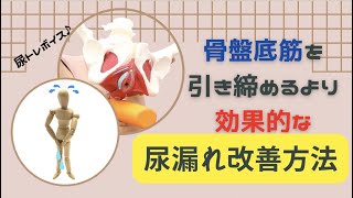 骨盤底筋を引き締めるより効果的な尿漏れ改善方法 更年期 50代 尿もれ改善 ひめトレ 骨盤底筋トレーニング 冷え症 頻尿 過活動膀胱 姿勢改善 そり腰 ぽっこりお腹 [upl. by Eam]