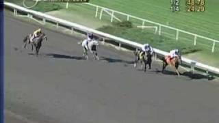 200000 Swaps Stakes GII  38th Running [upl. by Aihsak]