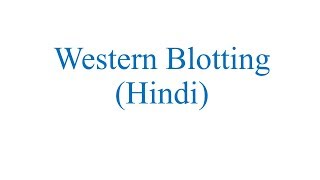 Western Blotting Hindi [upl. by Yna]