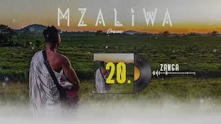 DRIEMO  ZANGA official audio visualizer Mzaliwa malawi afrobeat [upl. by Kcirdet593]