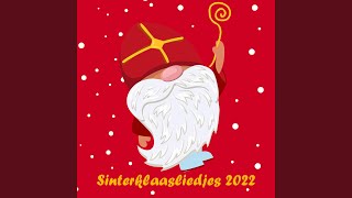 Welkom Sinterklaas [upl. by Grati77]