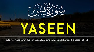 Surah Yaseen The Heart of the Quran  A Journey of Faith and Wisdom [upl. by Trout]