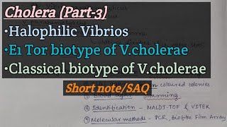 CholeraPart3  Halophilic vibrios  E1 Tor biotype  Classical biotype  V cholerae  Short note [upl. by Llehcim]