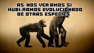 Así nos Veríamos si Hubiéramos Evolucionado de otras Especies 🐖🦉🐐 [upl. by Camroc]