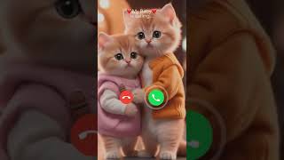 Mi telephone ringtone calling calls ringtone cats💋💓💘 [upl. by Nnoj65]