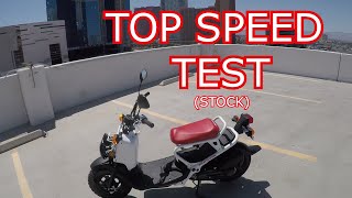 Top Speed Testing my stock Honda Ruckus under various everyday conditions [upl. by Etna]