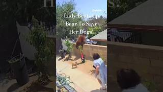 🐻🐻🐻 Lady Beats Up Bear To Save Her Dogs 🐻🐻🐻shortvideo [upl. by Aihtenak620]