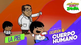 La piel  Excursión al cuerpo humano [upl. by Affrica]