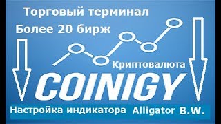 Coinigy  ставим индикатор Alligator [upl. by Iorio]