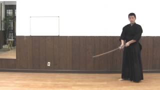 Practice Kendo At Home [upl. by Enirehtak269]