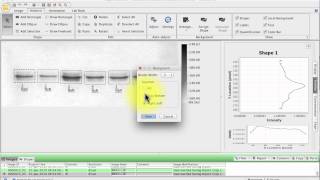 Licor Image Studio Lite  FREE densitometry software [upl. by Alejna]