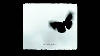 Black Butterfly Official Audio [upl. by Scholem9]