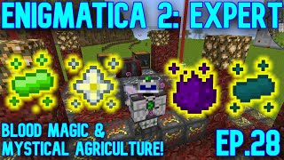 Fast Insanium Farm amp Max Blood Altar  Minecraft E2E ep29 [upl. by Aneertak]