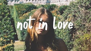 ASTN  Not In Love Lyric Video [upl. by Yenittirb]