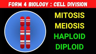 Form 4 Chapter 6 Biology Cell Division  Mitosis Meiosis Haploid Diploid in 10 minutes 1 of 6 [upl. by Beeck]