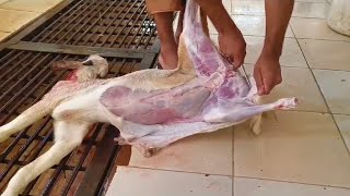 goat cutting skills best goat skin processing and mutton cut amazing goat video [upl. by Eciened123]