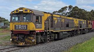 Tasrail Late North Bound Intermodal Train 436 Campania 2024 [upl. by Fortunia521]