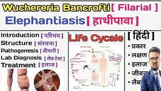 Wuchereria Bancrofti  Filarial Worm  Elephantiasis  हाथीपावा  Parasitology Notes  Microbiology [upl. by Natie]