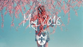 IndieRockAlternative Compilation  May 2016 1Hour Playlist [upl. by Cohin]