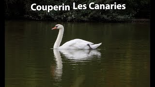 François Couperin Les Canaries Baroque [upl. by Sorgalim]