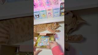 Cinnamoroll Shopping🛍 sanrio kuromi hellokitty cinnamoroll cute japan shorts asmr fyp [upl. by Marianna]