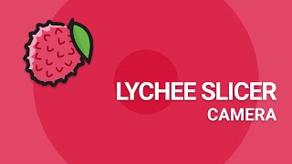 How to use the camera in Lychee [upl. by Anevad]