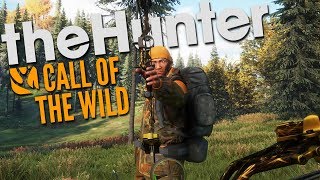 The Hunter Call Of The Wild  BOWS IN HIRSCHFELDEN [upl. by Krakow163]