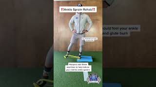 Ankle Sprain Rehab [upl. by Aitnwahs]