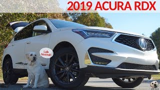 2019 Acura RDX Andie the Lab Review Acura LabTESTED AndietheLab [upl. by Ellwood]