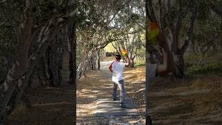 The hobbit hole 🕳️ throwforglory discgolf roller trees monterey ryanranch outdoors nature [upl. by Hanoj]