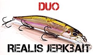 Lure Review DUO Realis Jerkbait [upl. by Atrebla598]