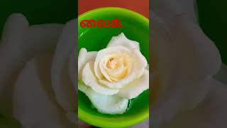 Rosapoo Chinna marthandam2chennai [upl. by Nidnarb]